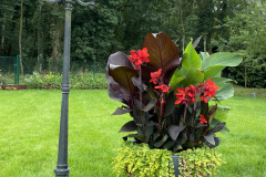 Fleurs-ID-1