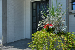 Fleurs-ID-2